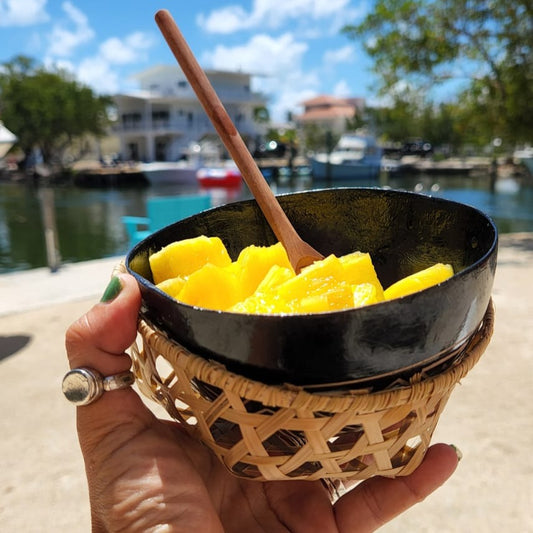 Cuia de Tacacá - Brazilian Gourd Bowl